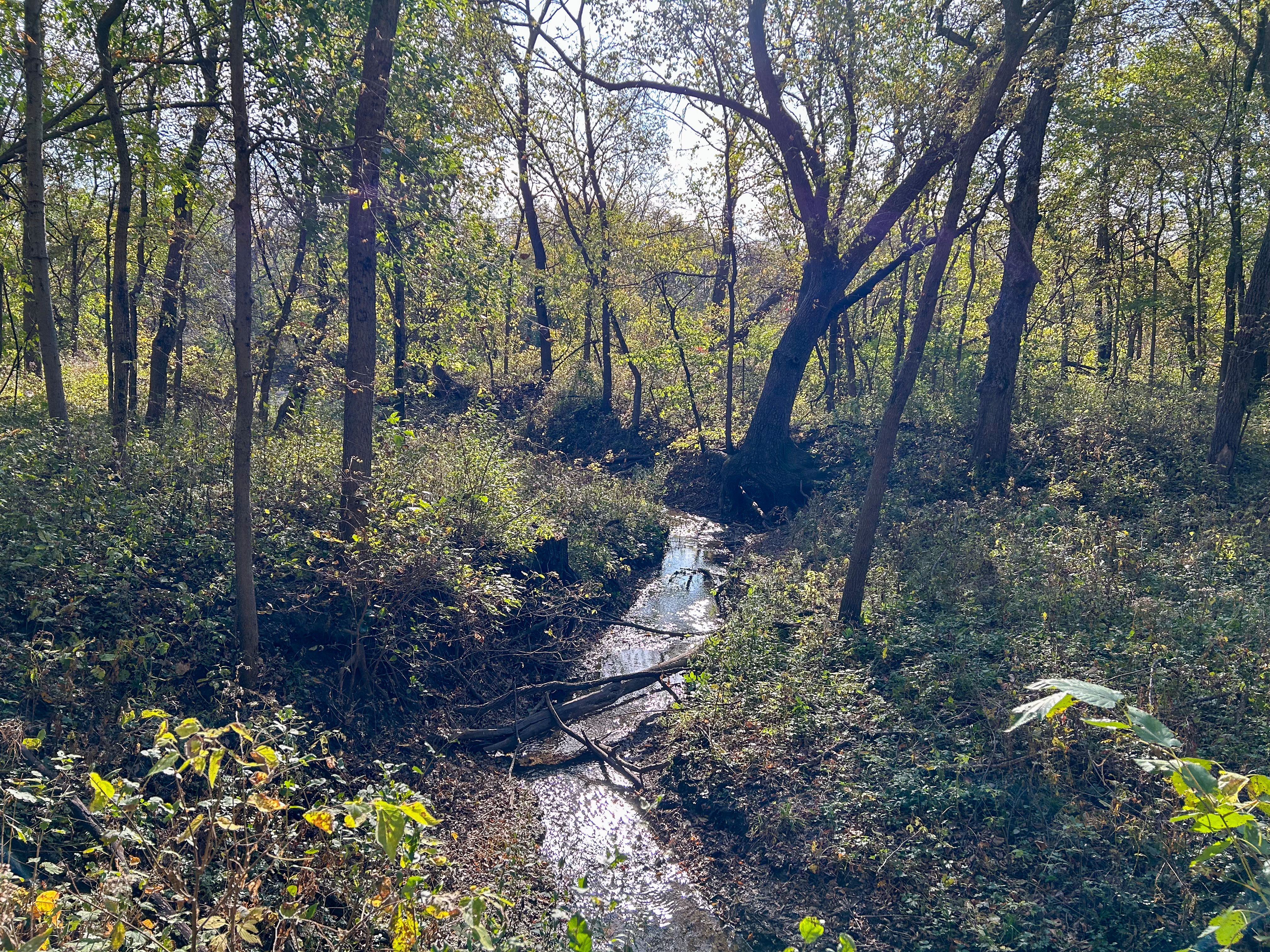 Listing Photo: IMG_3171 (1)